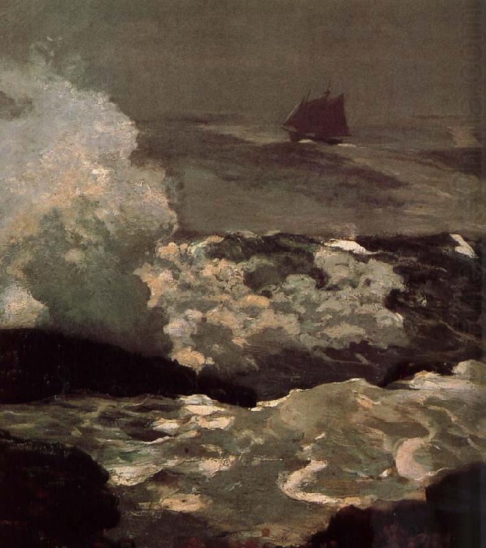 Winslow Homer Leeward Coast china oil painting image